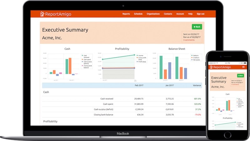 ReportAmigo gallery image