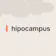 Hipocampus