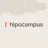 Hipocampus