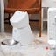 Q1 Smart Pet Feeder to Remotely Take Care of Your Pet