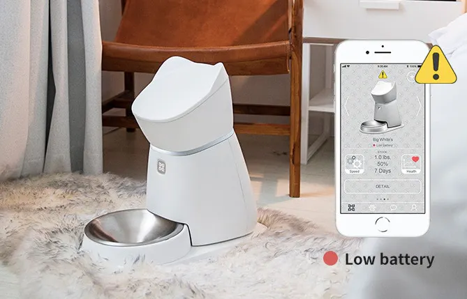 Q1 Smart Pet Feeder to Remotely Take Care of Your Pet