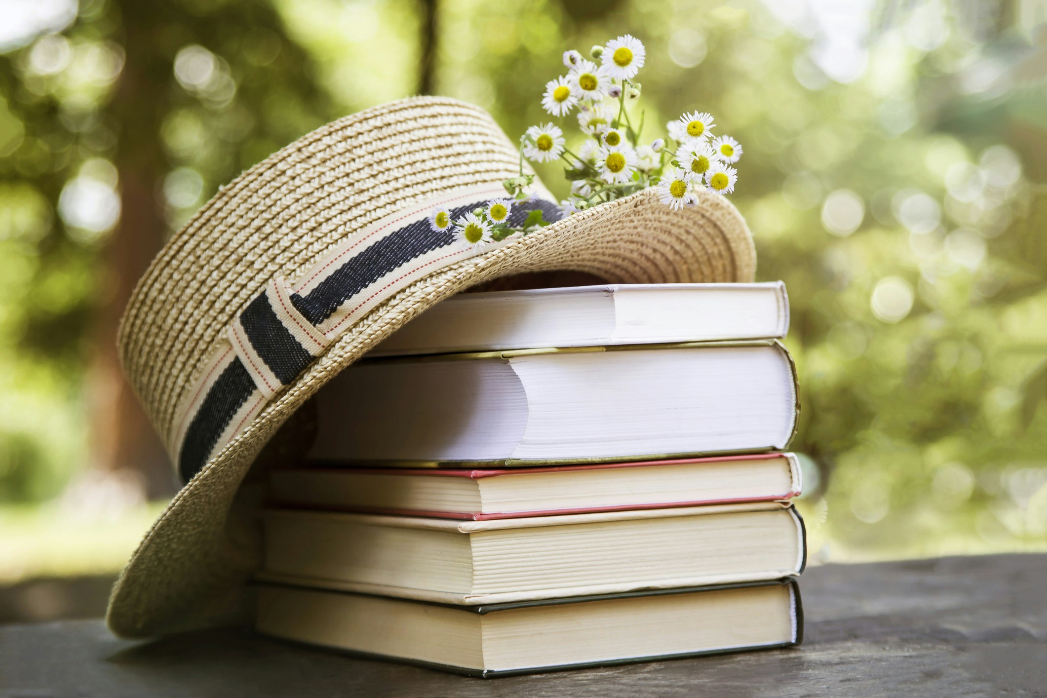 Книжный список media 3
