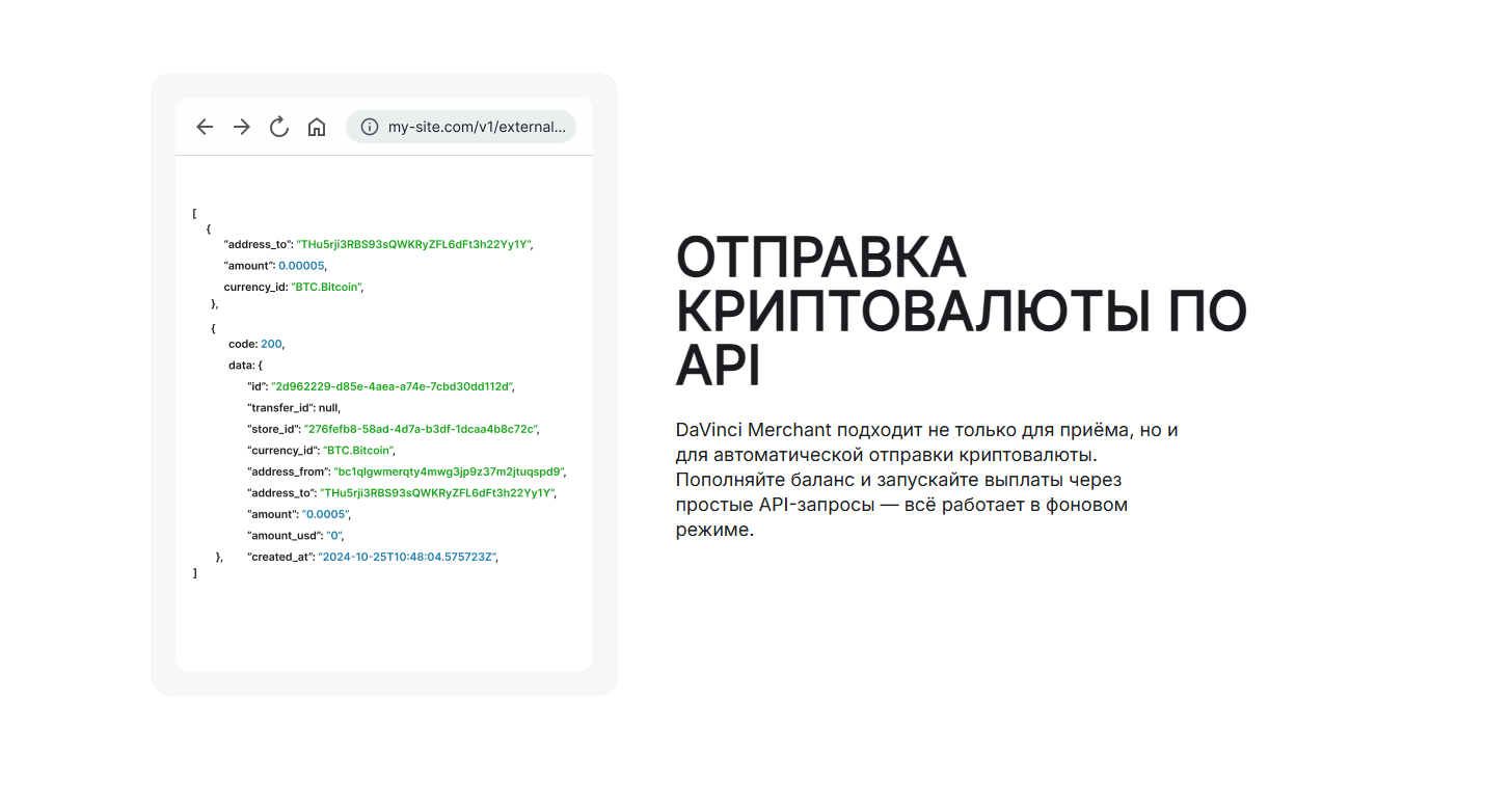 DV.net media 4