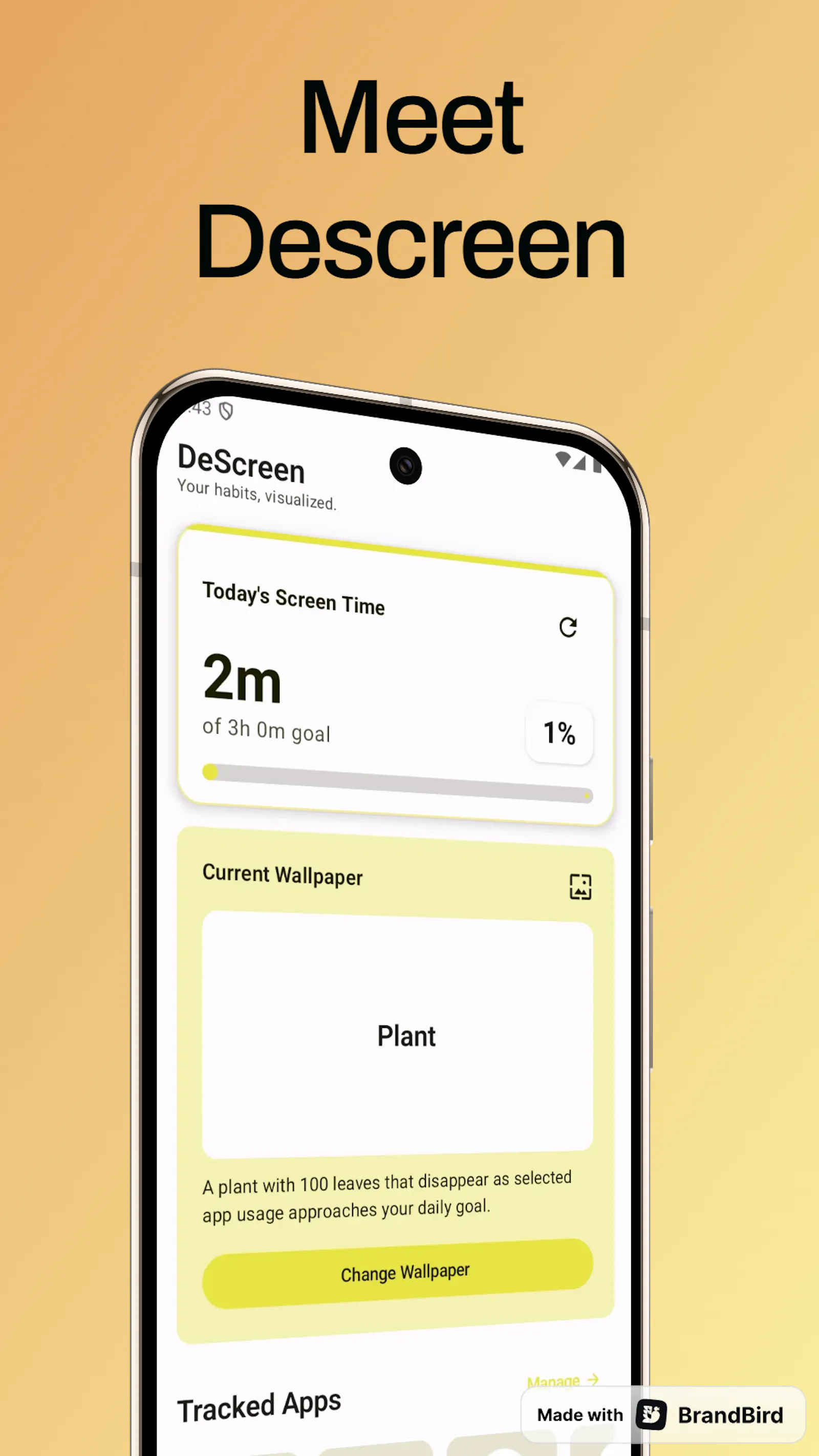 DeScreen screenshot 1