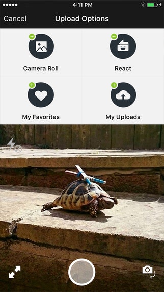 Imgur 3.0 gallery image