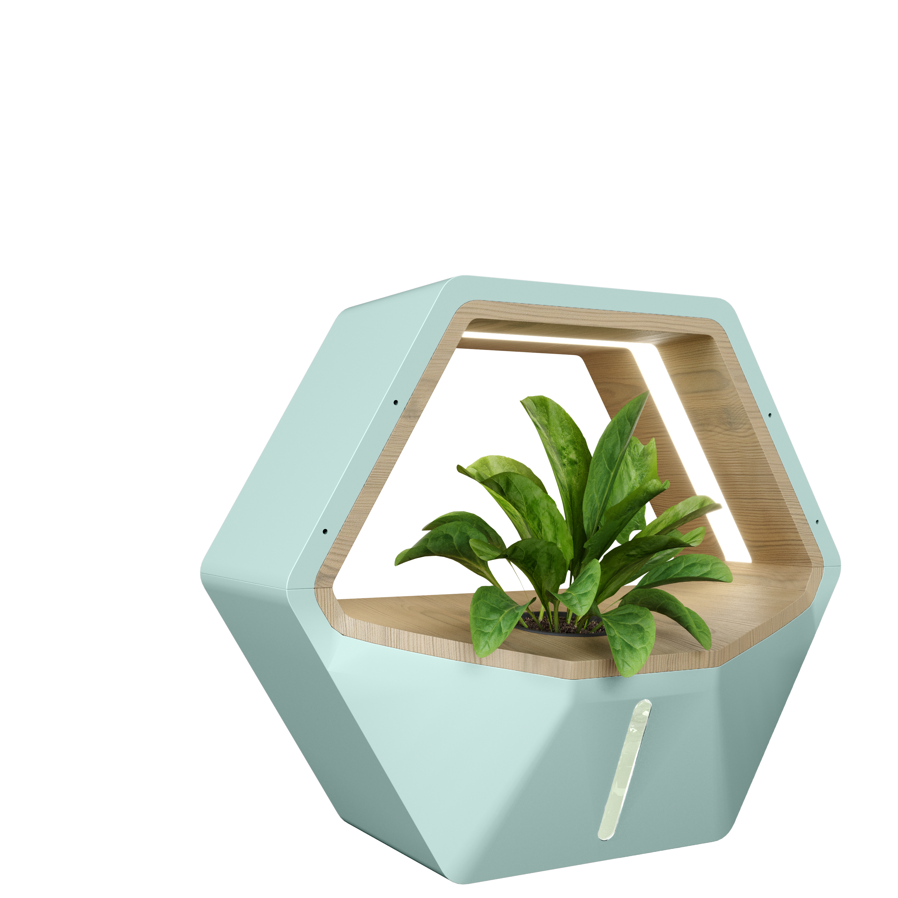 Bee Leaf Planter gallery image