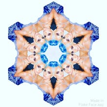 Flake Face gallery image