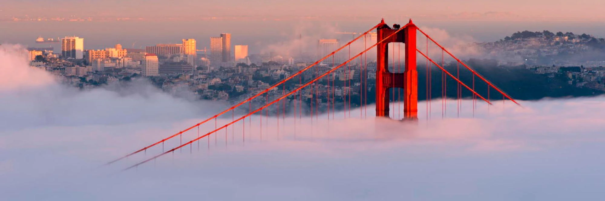 Gregory Koberger cover