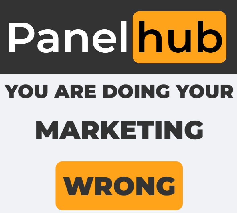 PanelHub - Sie machen Ihr Marketing falsch! Medien 1