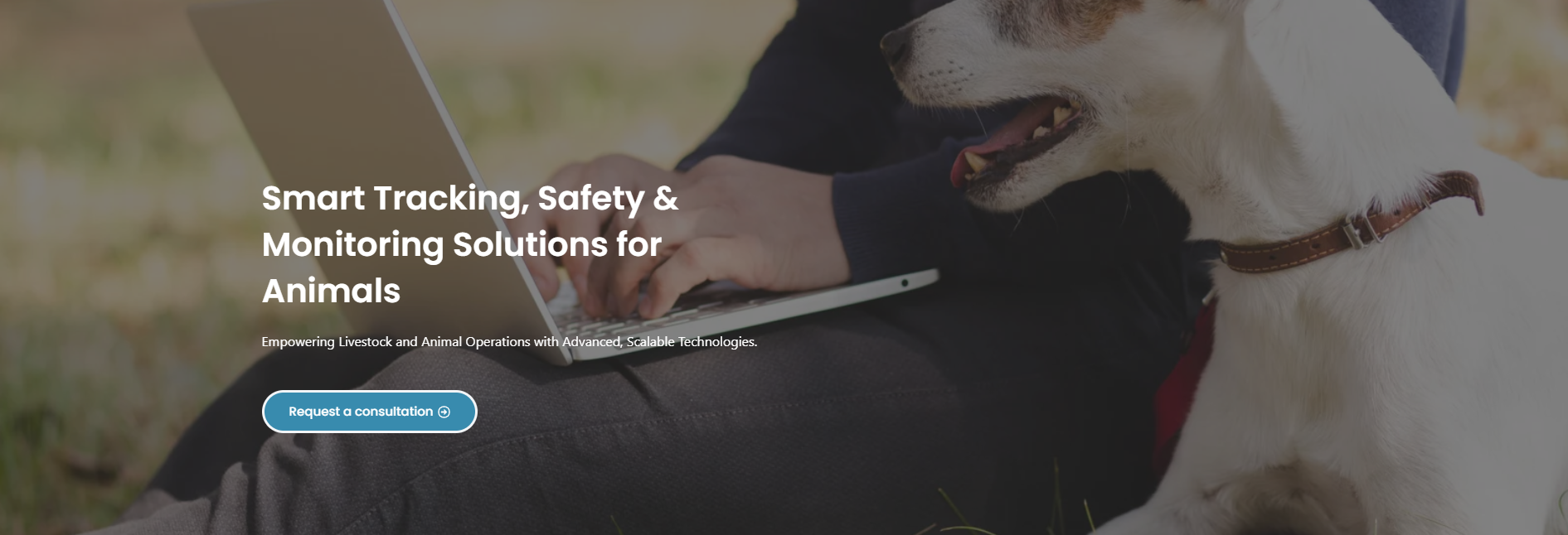 Animal Watch - Screenshot 2 showing product features and functionality