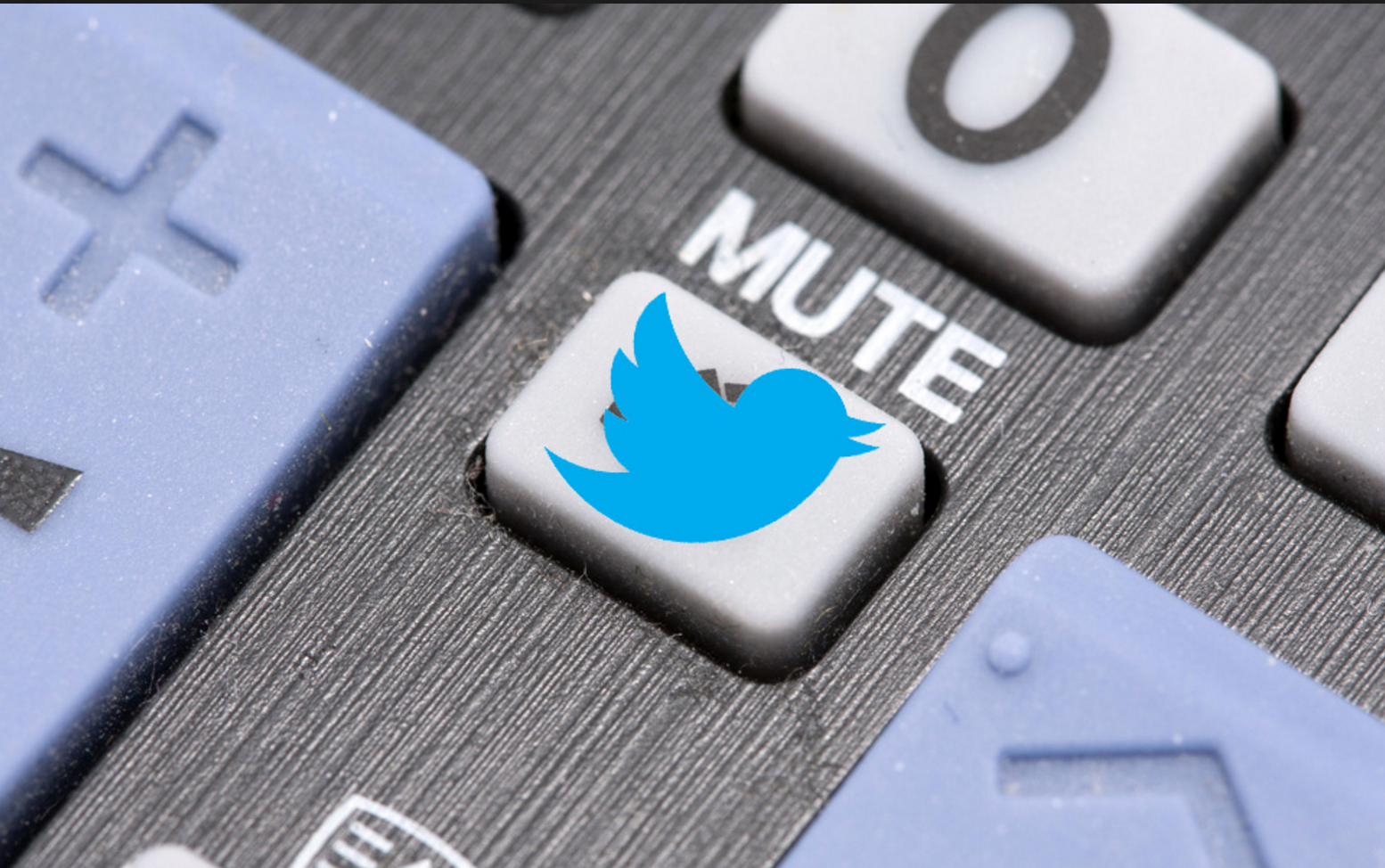 Twitter Mute Till Election gallery image