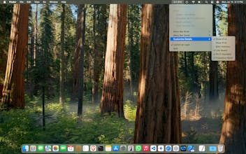 Network Connection Information gallery image