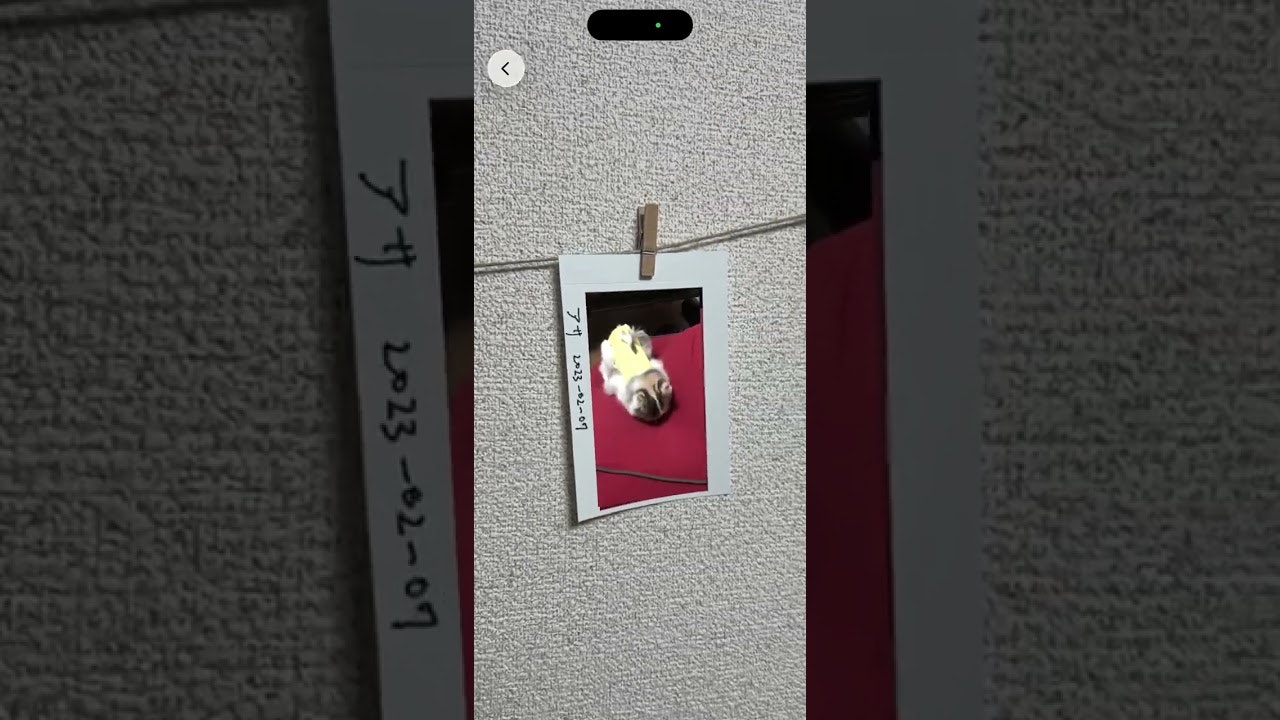 MemoriaR gallery image