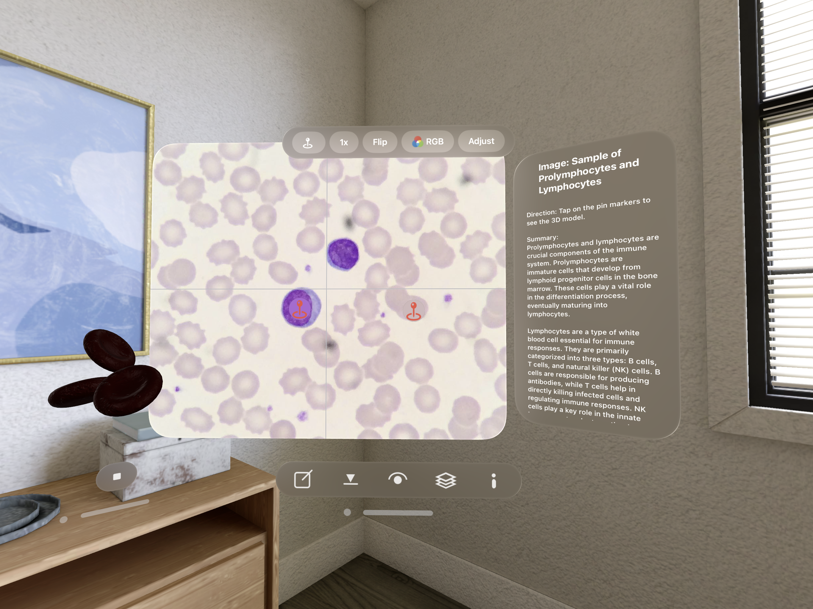 SSCOPY - Ruimtelijke afbeeldingen van microscopische monsters media 4