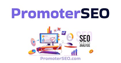 PromoterSEO gallery image