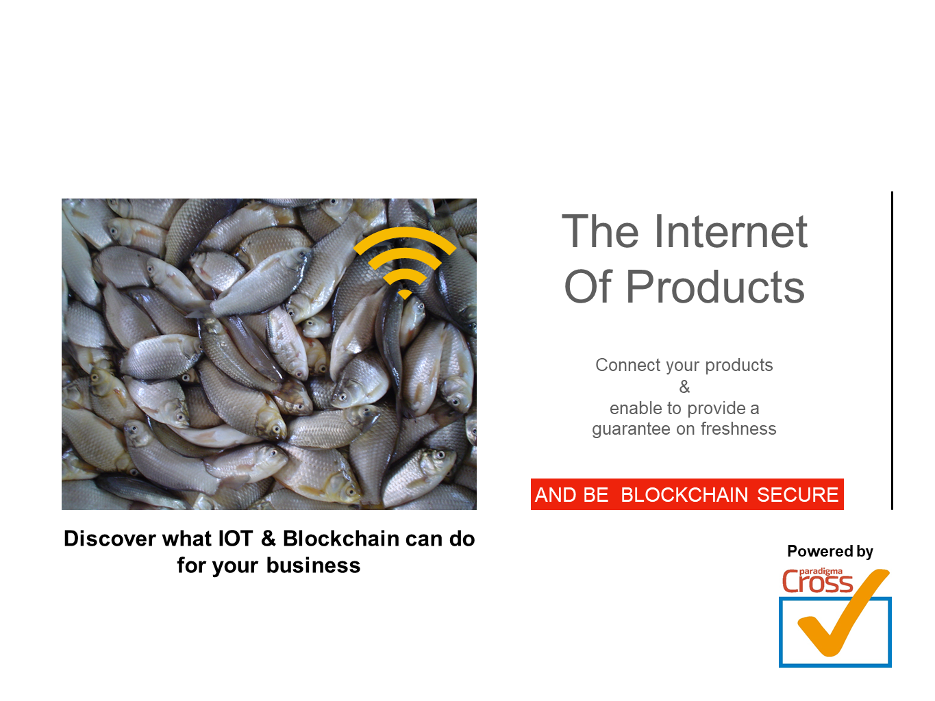 Paradigma CrossCheck gallery image