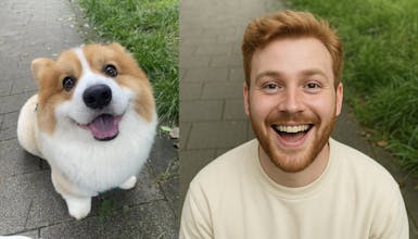 Pet To Human gallery image