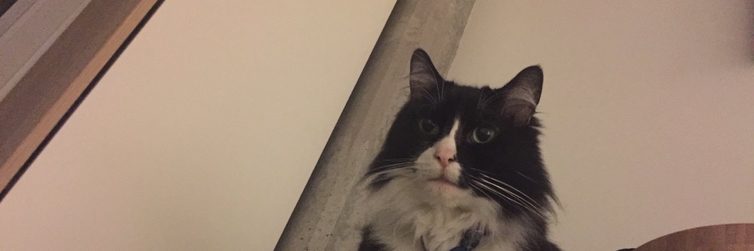 ProductHunt banner for @rafiq