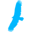 CAVI