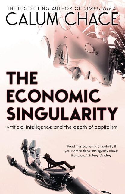 The Economic Singularity gallery image
