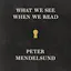 What We See When We Read
