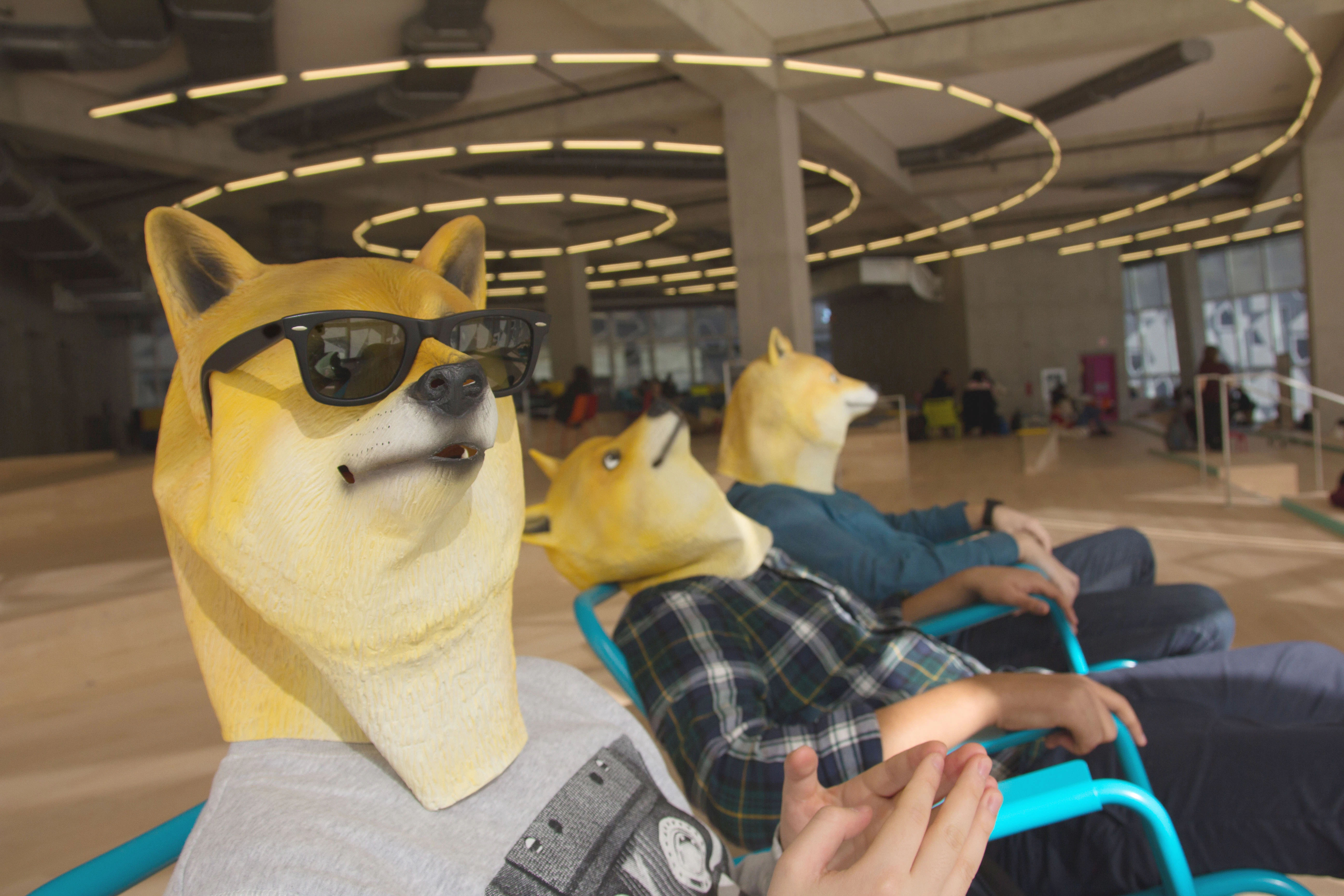 Doge Mask
