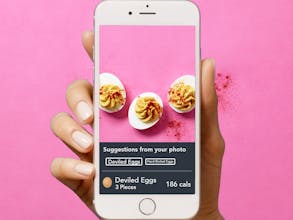 Lose It! gallery image