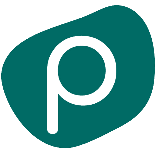 Pebble Falcon logo