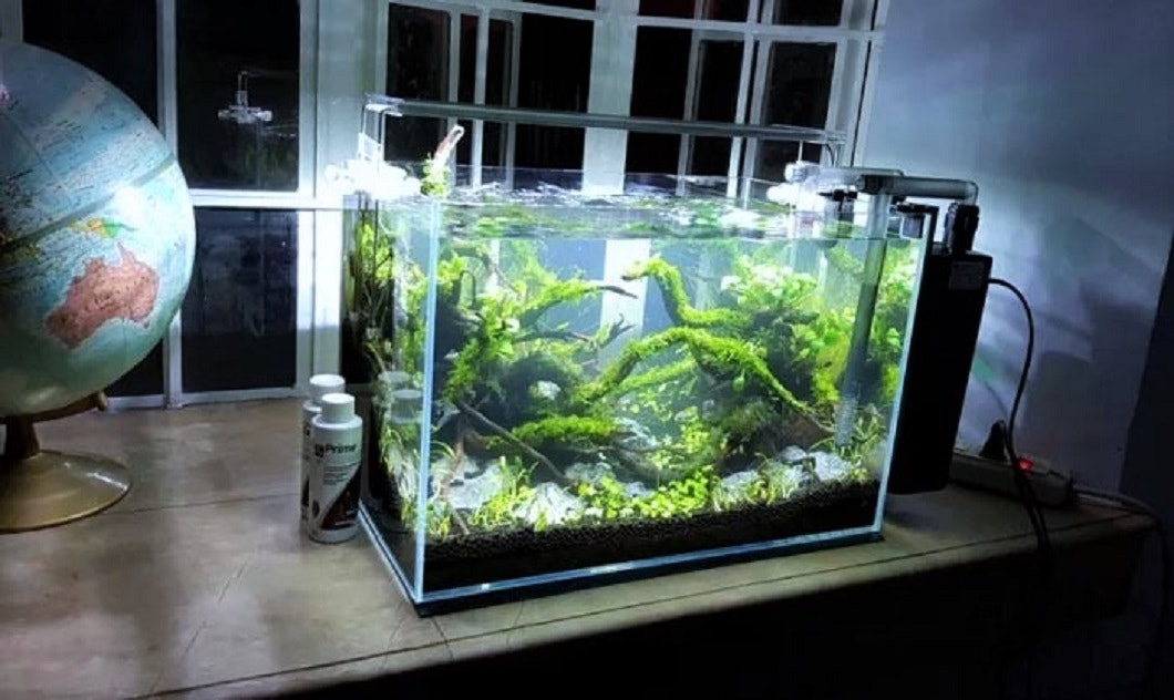 10加仑罐的过滤器