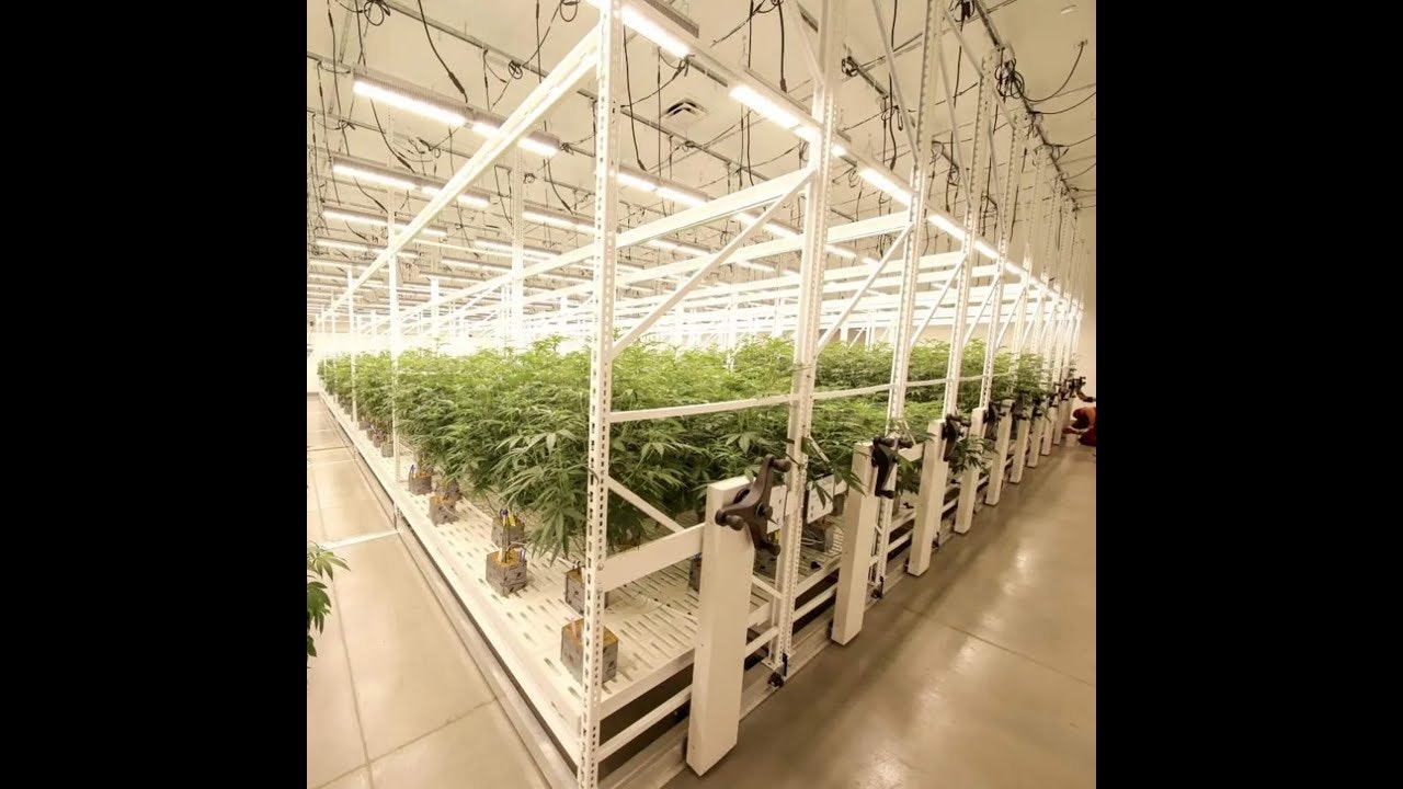 Mobile Vertical Grow Rack gallery image