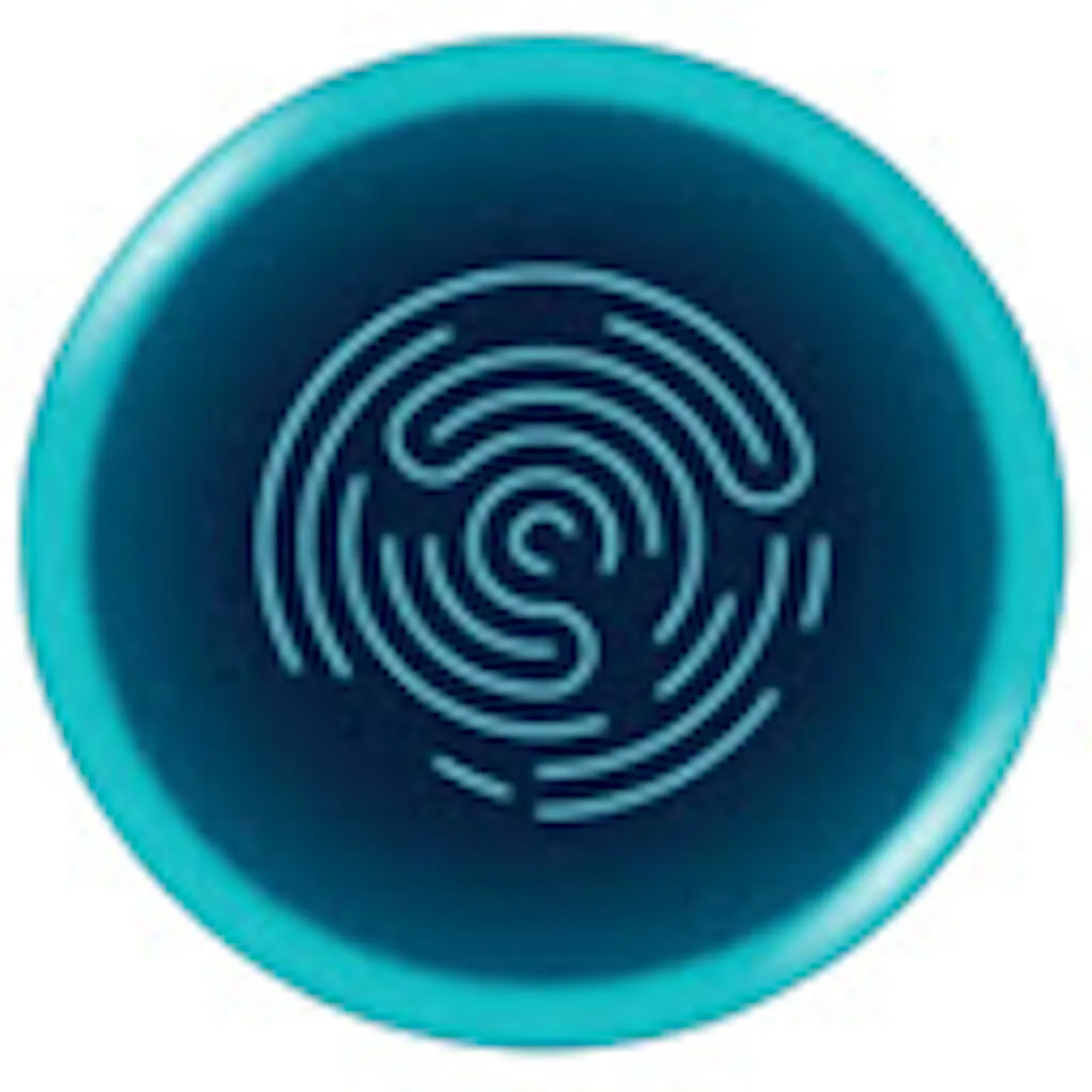 WebShield.AI screenshot 2