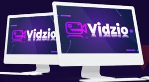 Vidzio ici