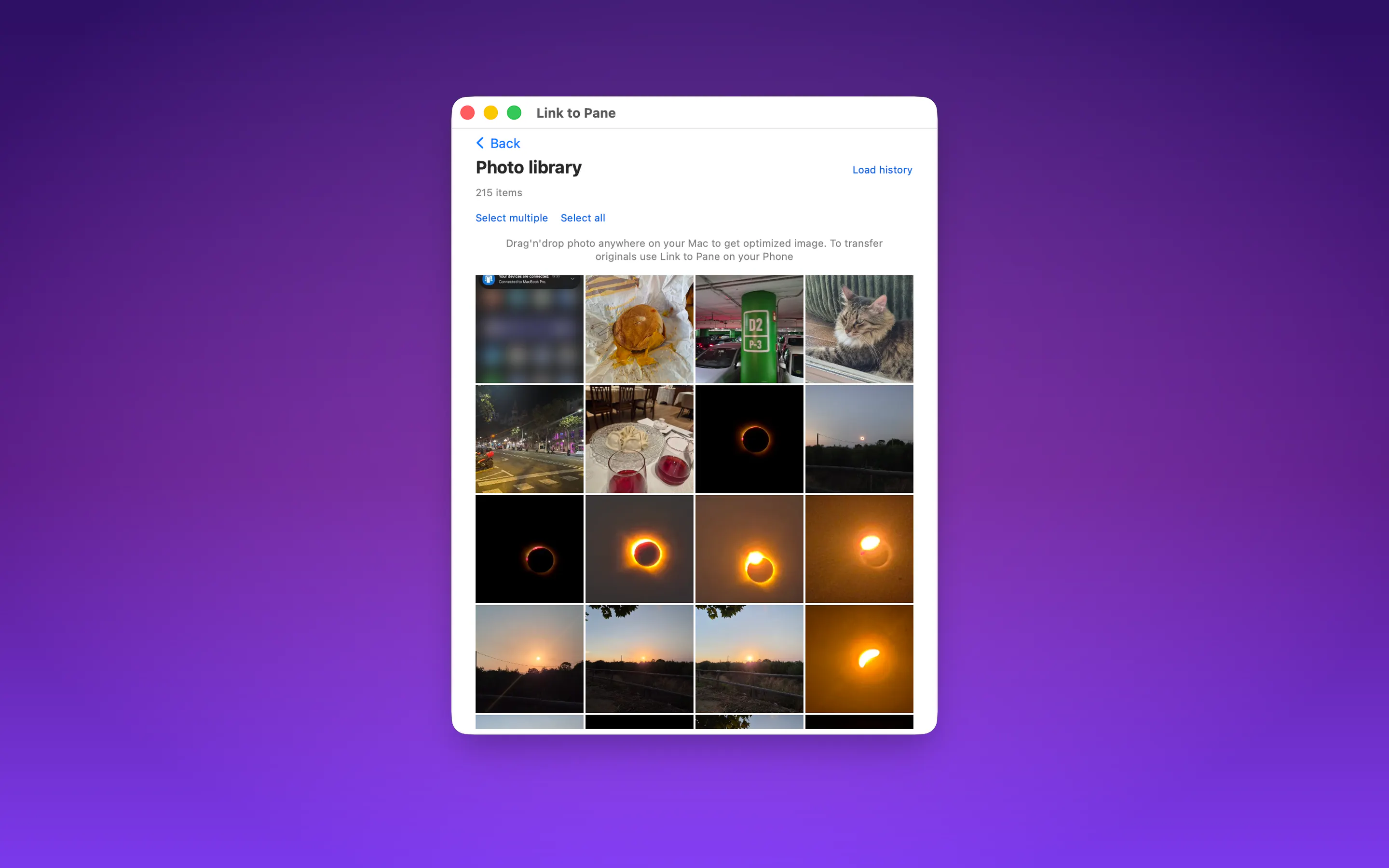 Link to Pane gallery image
