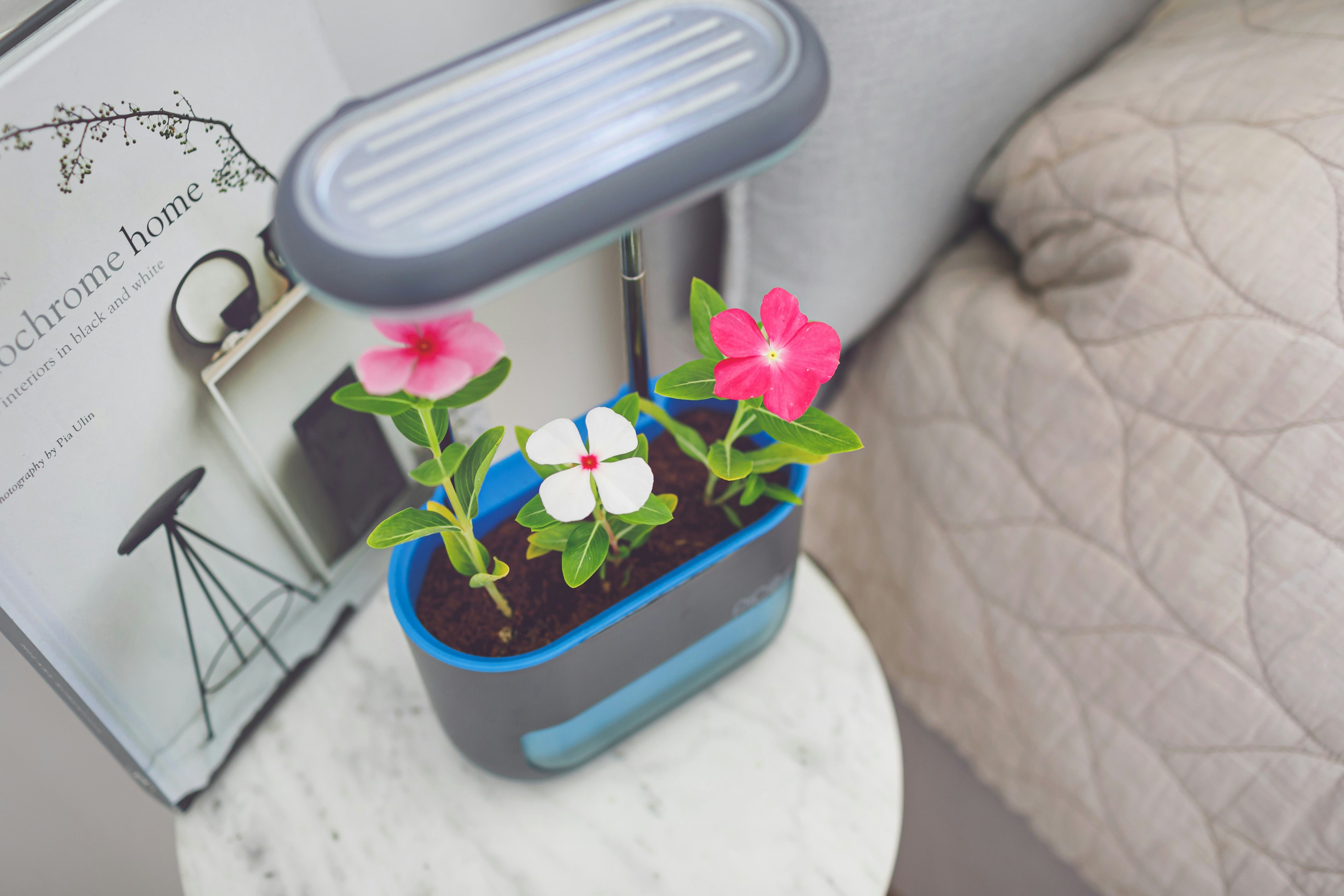 Pico Max gallery image