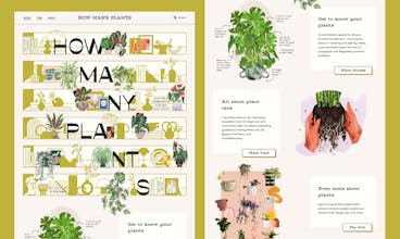 How Many Plants gallery image