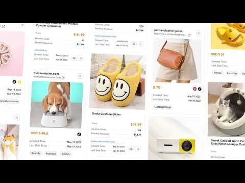 PPSPY - Dropshipping by AI gallery image
