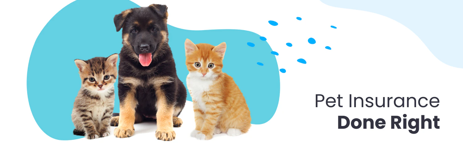 Pavel Timofeev cover