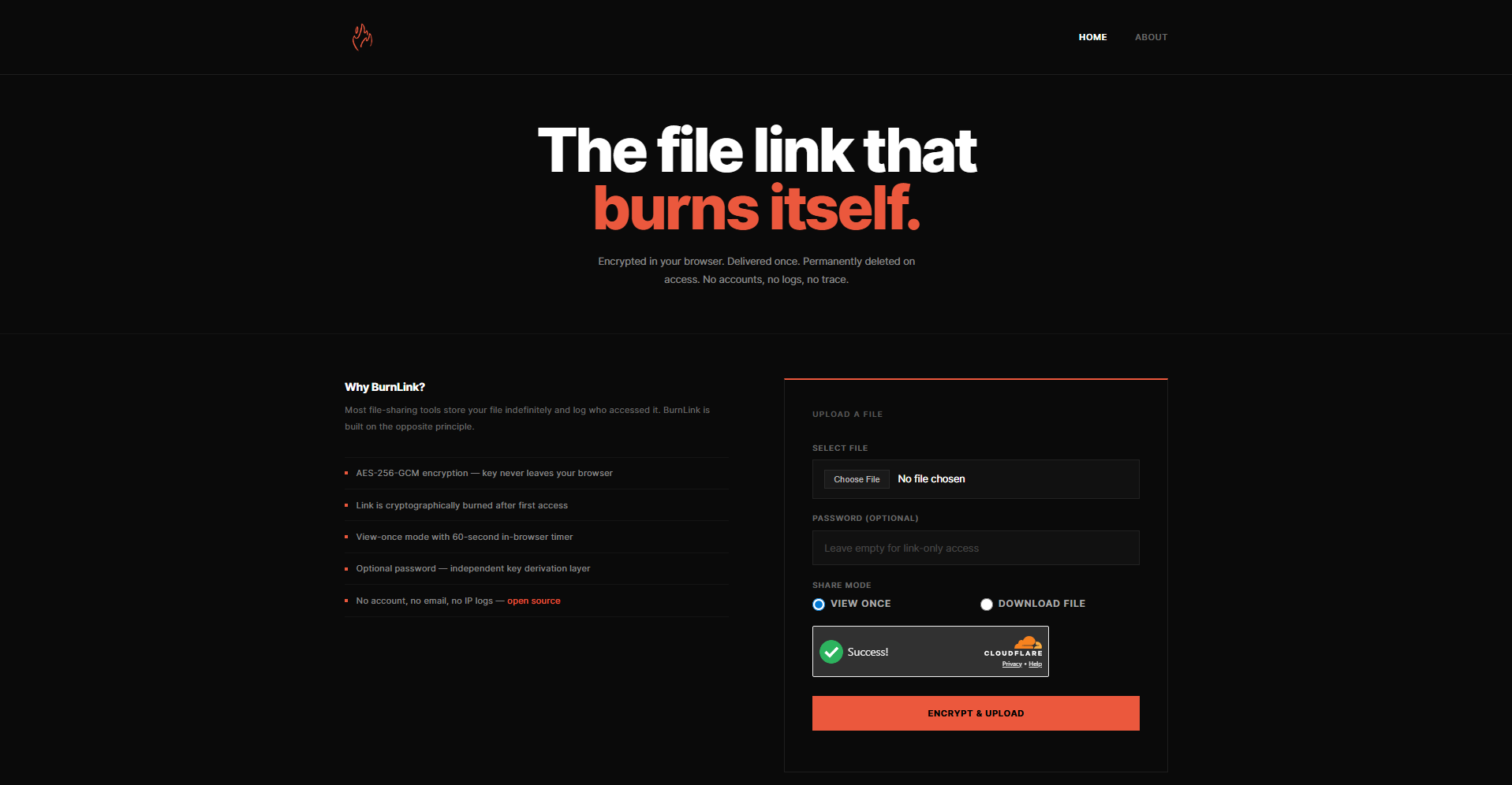 BurnLink media 3
