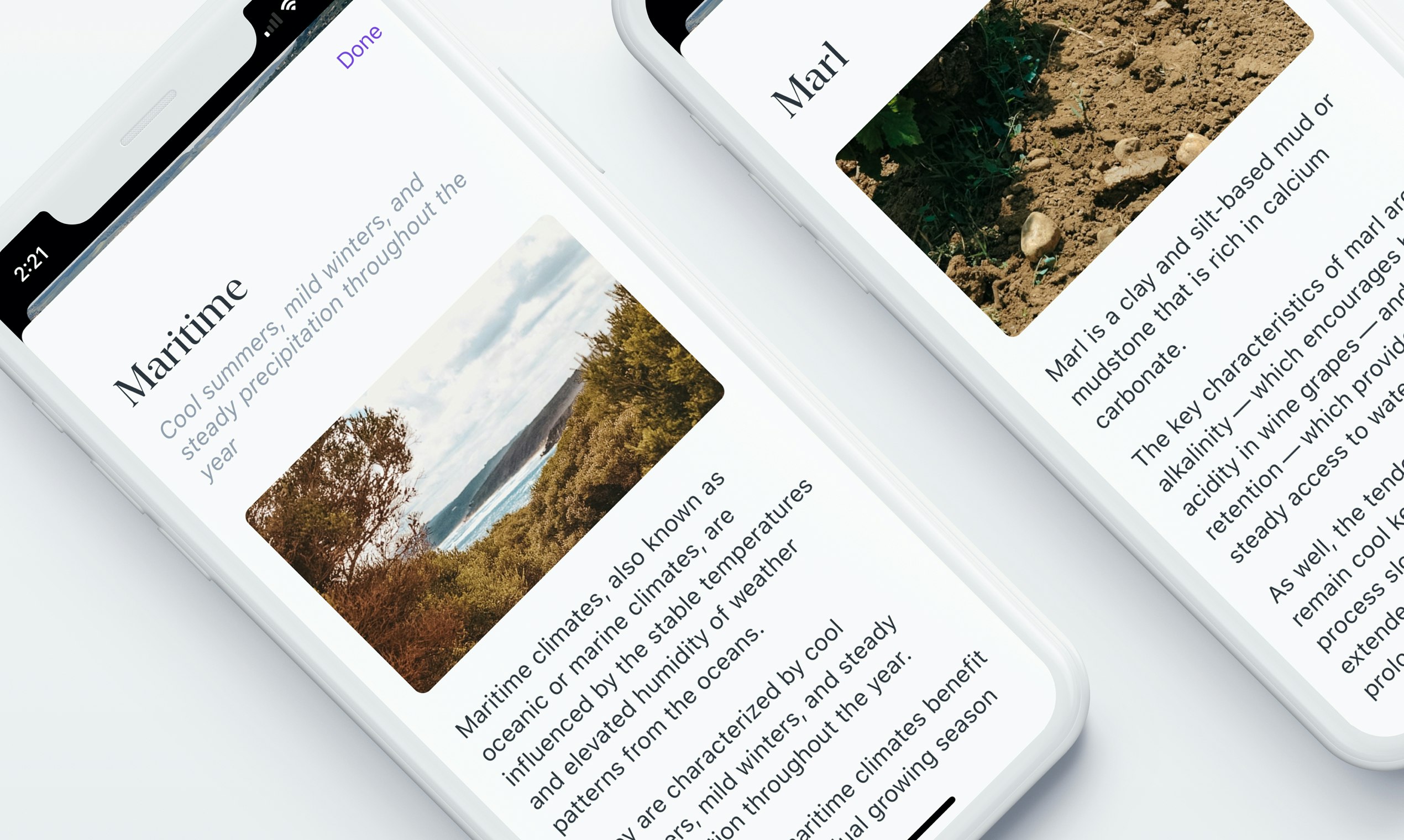 True Wine gallery image