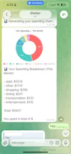 Shelter - Your AI Financial Guardian gallery image