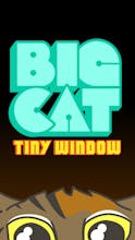 Big Cat Tiny Window gallery image