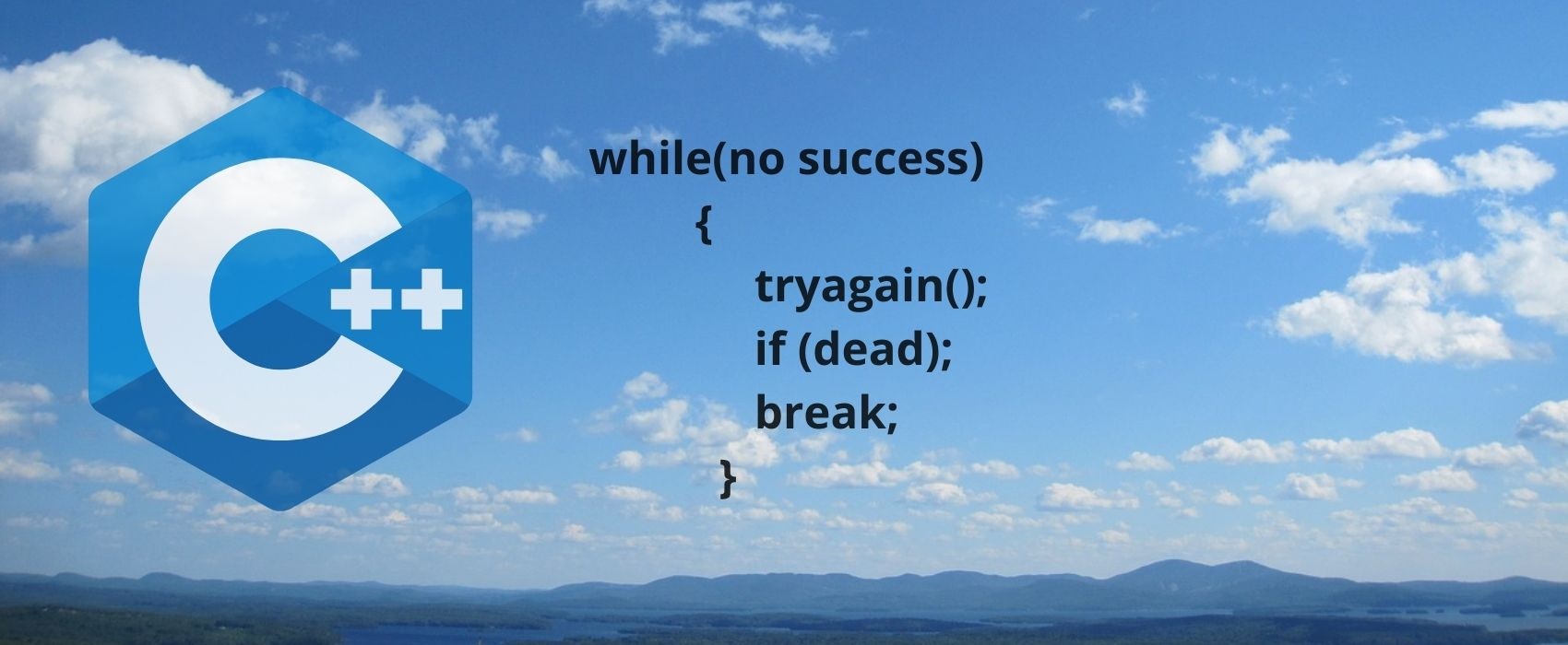 PforPrograms gallery image