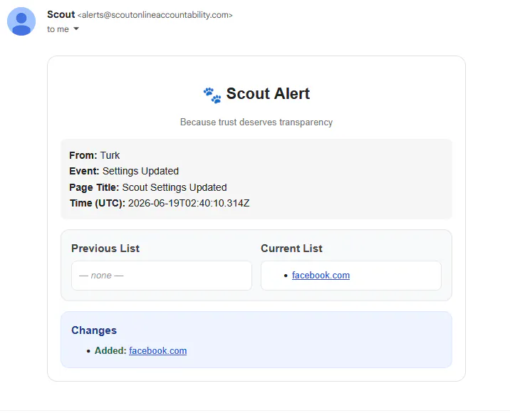 Scout - Online Accountability gallery image