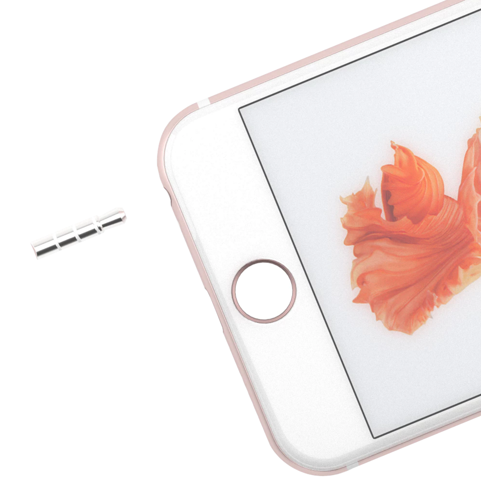 Apple Plug Image