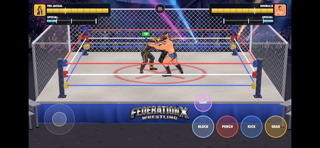 Federation X Wrestling gallery image