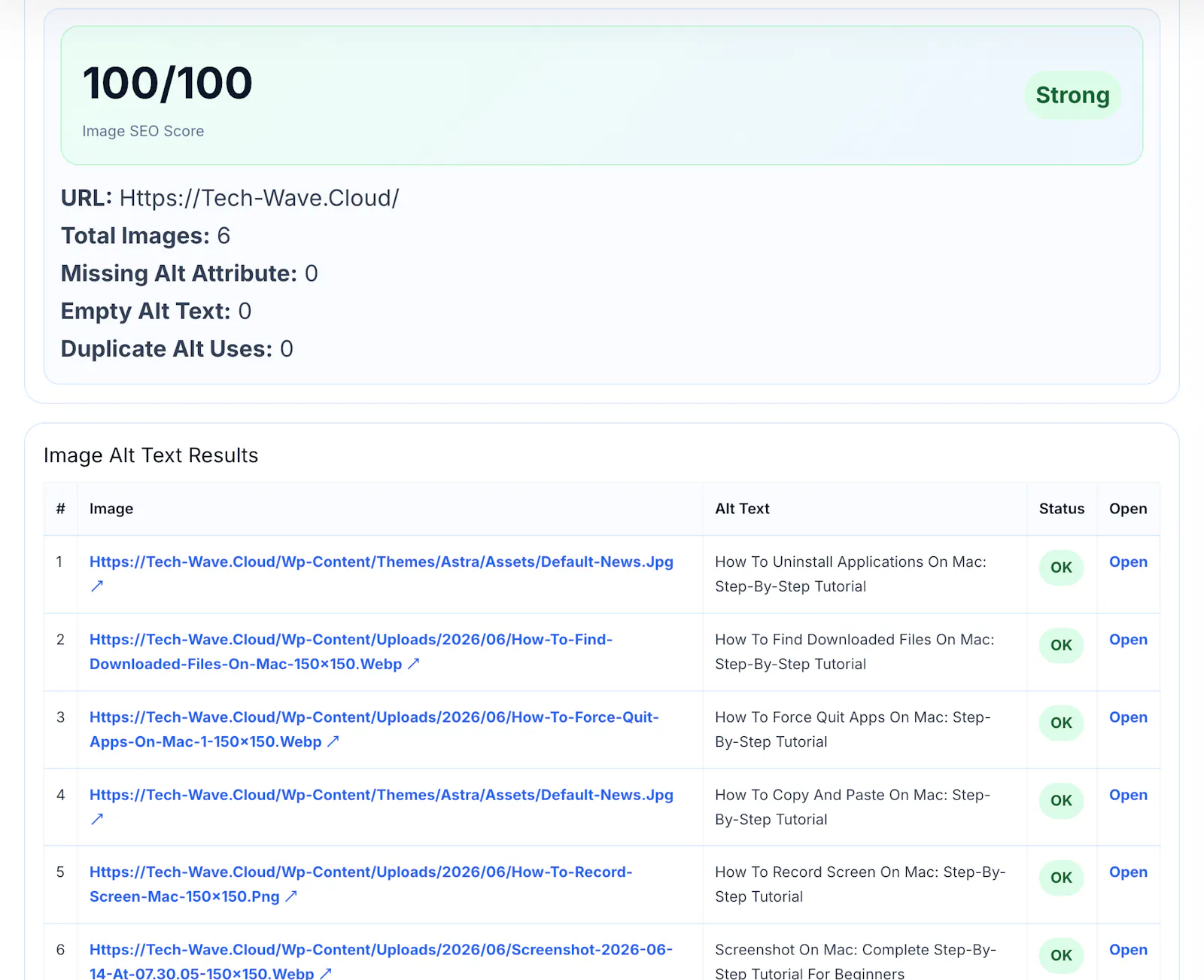 Alt Text Checker screenshot 1