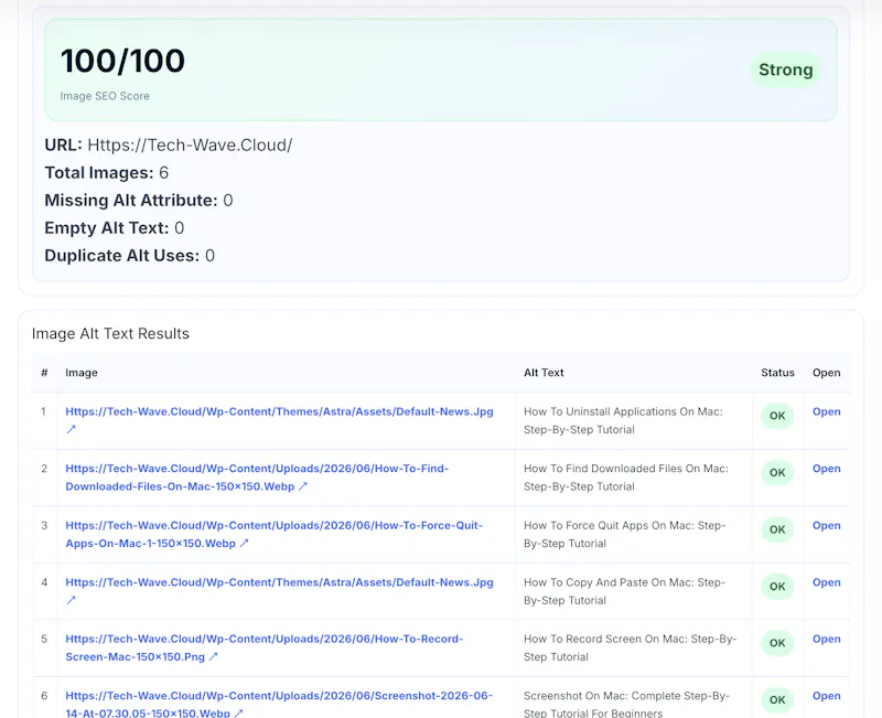 Alt Text Checker screenshot 1