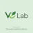 VC Domicile Playbook