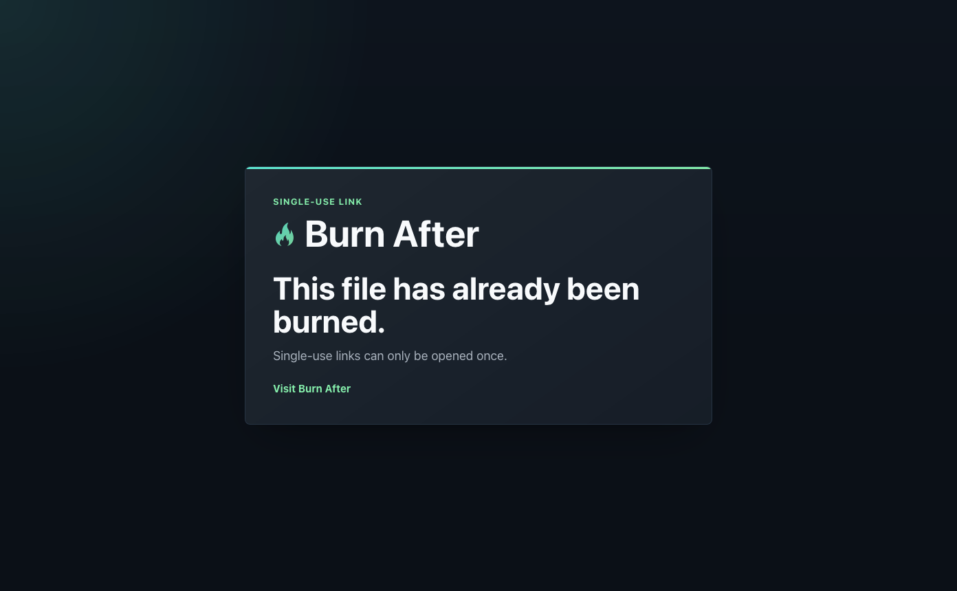 Burn After gallery image