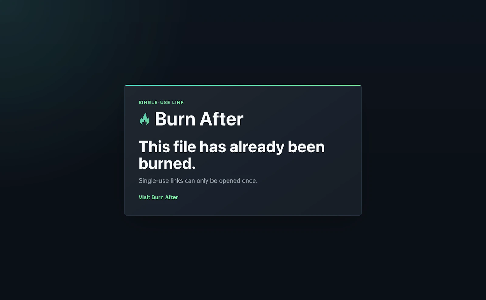 Burn After screenshot 4